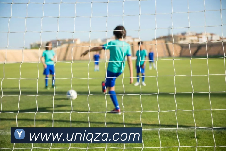 leyu乐鱼在线登录发展历程